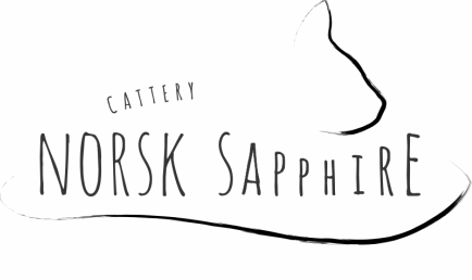 Norsk Sapphire Cattery